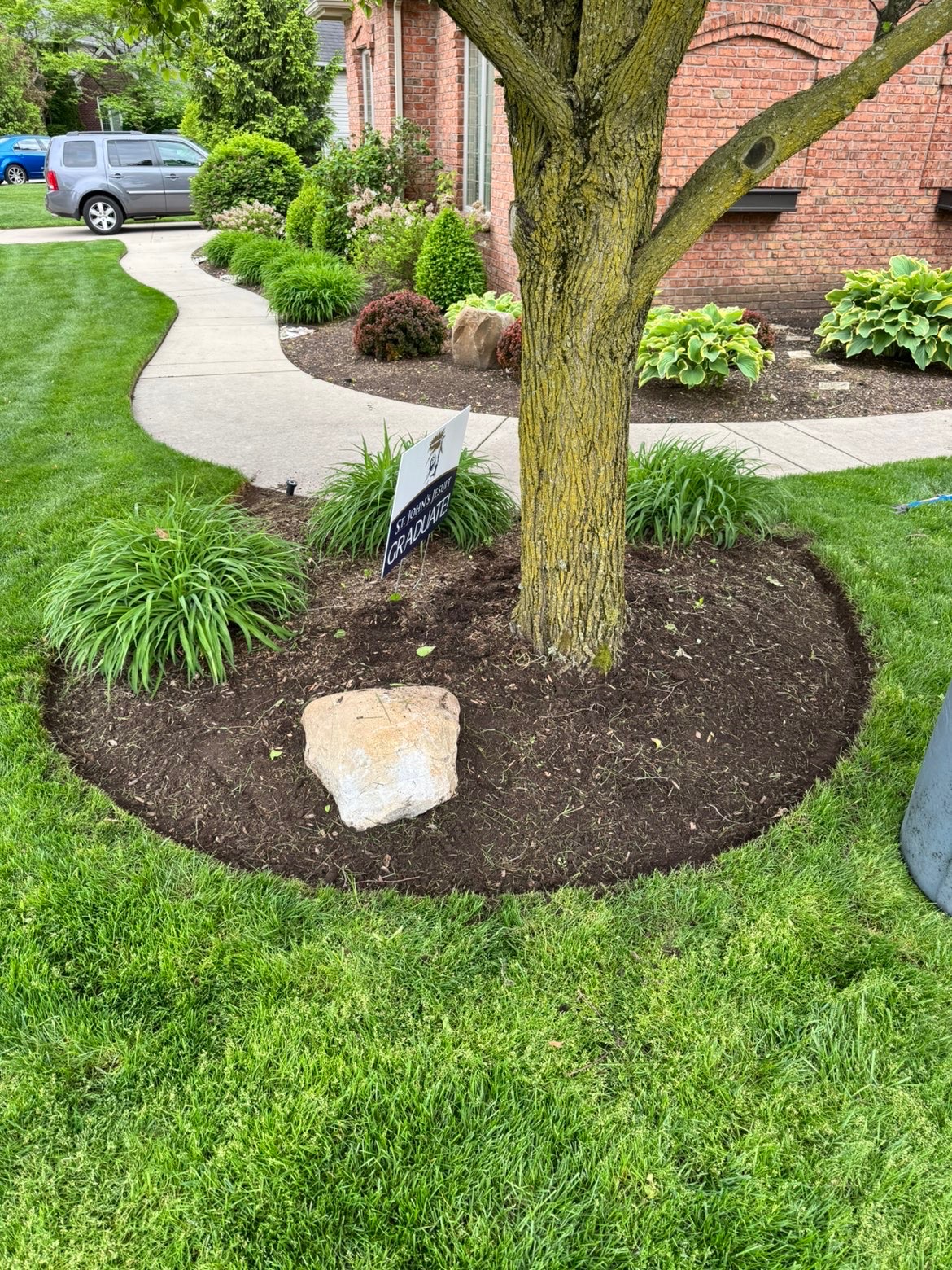 Fresh mulch and a clean edge around a front-yard tree with a decorative stone