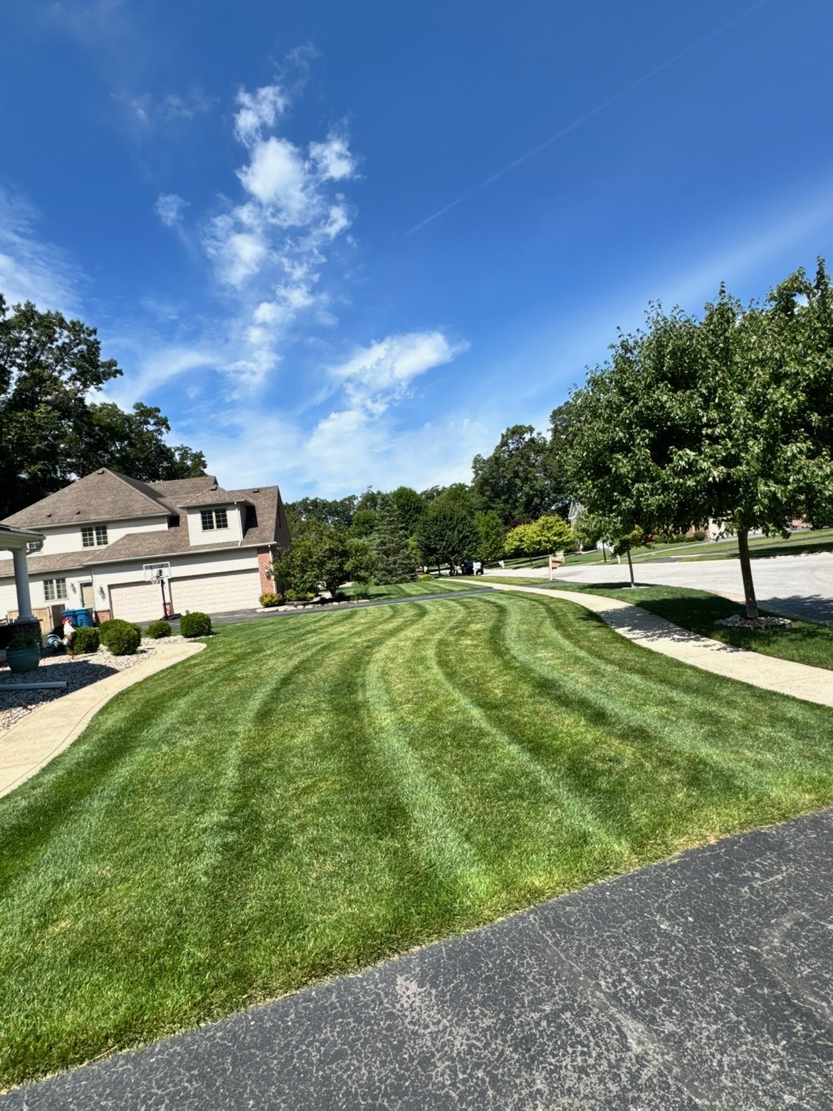 Freshly mowed lawn with clean mowing stripes under a blue sky